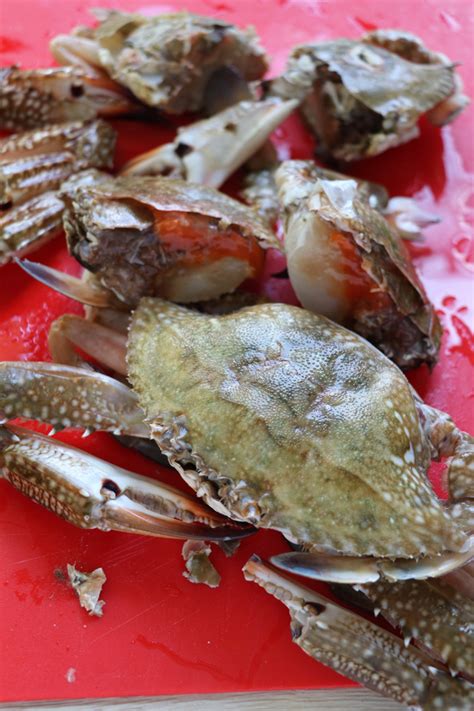 easy-chili-crab-recipe-foxy-folksy image