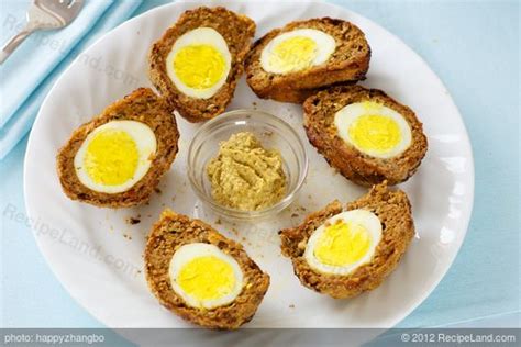 scottish-eggs-recipe-recipeland image