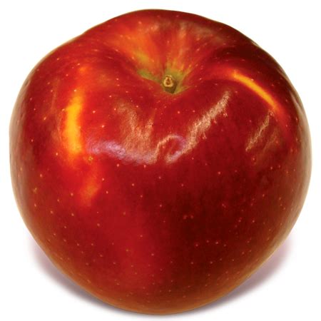 crimsoncrisp-new-england-apples image