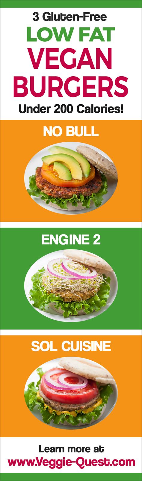 3-low-fat-gluten-free-vegan-burgers-you-veggie-quest image