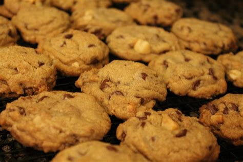 sausalito-cookies-the-salted-cookie image