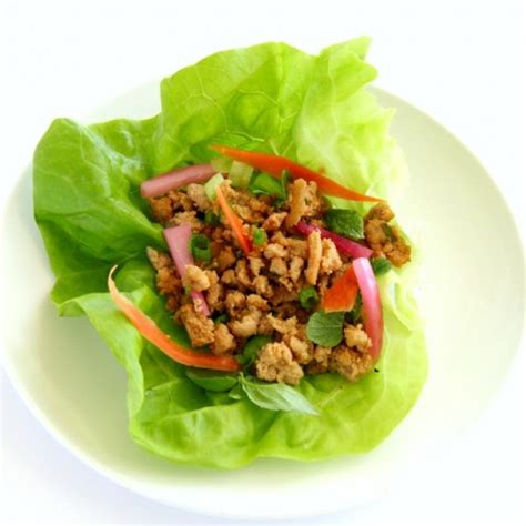 thai-inspired-turkey-lettuce-wraps-shockingly image