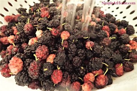 how-to-make-mulberry-jam-pectin-free-simple-at image