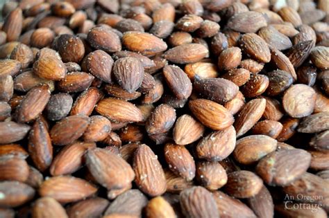 perfectly-salted-diy-roasted-almonds-seriously-the-best image