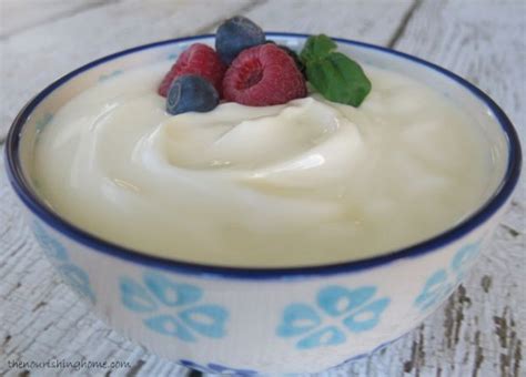 how-to-make-dairy-non-dairy-greek-style-yogurt image