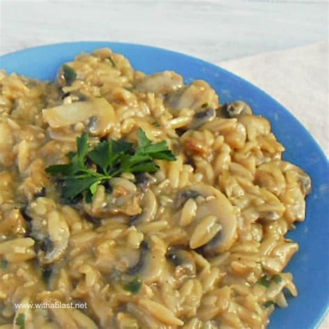 orzo-and-mushroom-casserole-with-a-blast image