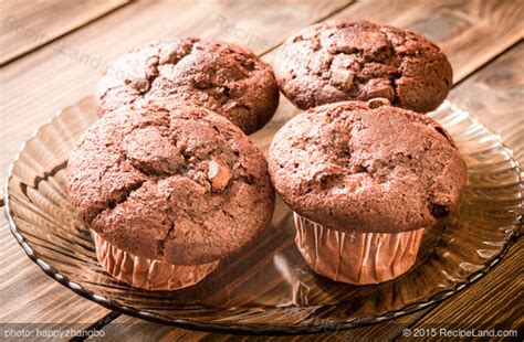 low-fat-chocolate-muffins-recipe-recipelandcom image
