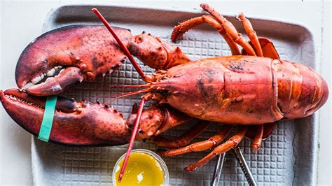 perfectly-steamed-lobster-recipe-bon-apptit image