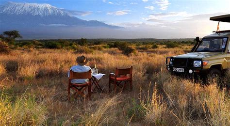 african-safari-best-food-and-drinks-fine-dining-lovers image