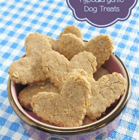 almond-oatmeal-hypoallergenic-dog-treat-dogvills image