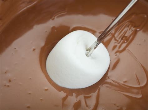 baileys-irish-cream-chocolate-fondue-recipe-cdkitchen image