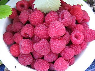 dorie-greenspan-raspberries-so-good-in image