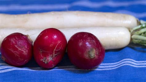 10-great-ways-to-serve-radishes-mother-would-know image