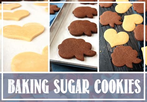 how-to-make-and-bake-the-perfect-sugar-cookie-best image