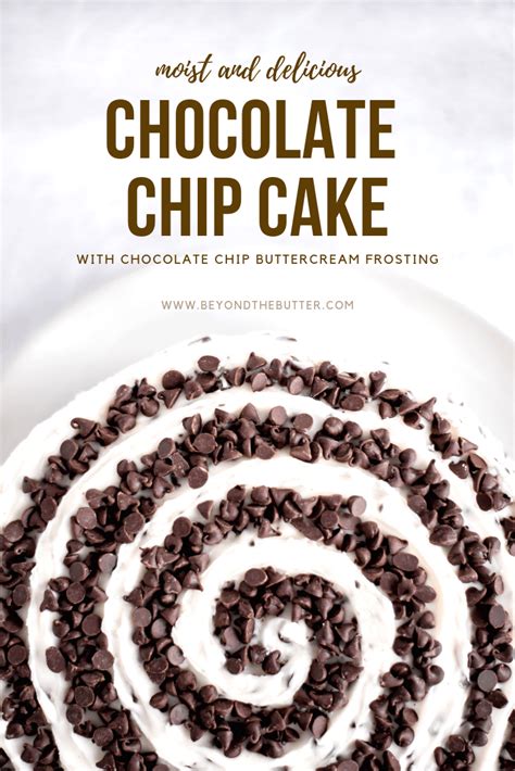 chocolate-chip-cake-beyond-the-butter image