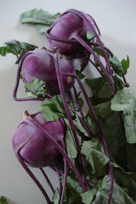 sauteed-kohlrabi-onions-basil-real-food image