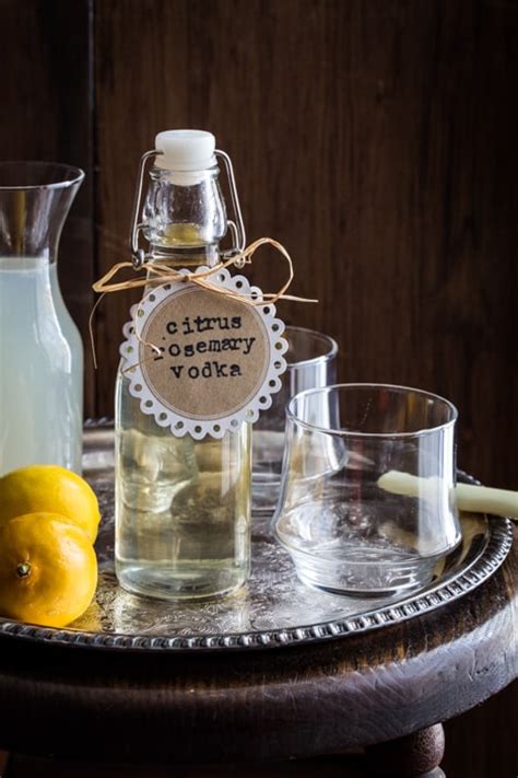 citrus-rosemary-vodka-spritzer-my-baking-addiction image