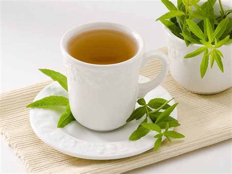lemon-verbena-tea-how-to-make-benefits image
