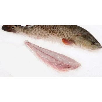 redfish-on-the-half-shell-cajun-grocer image