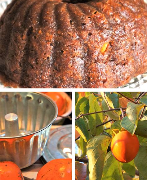 persimmon-pudding-with-hard-sauce-culinary-getaways image