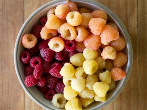 mocha-raspberry-trifle-recipe-hubpages image