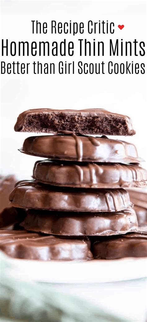 homemade-thin-mints-the-recipe-critic image