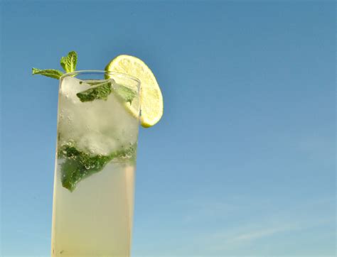 how-to-make-a-virgin-mojito-10-steps-with-pictures image