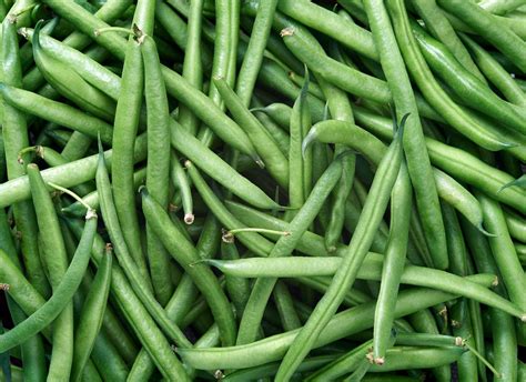 what-are-good-seasonings-for-green-beans image