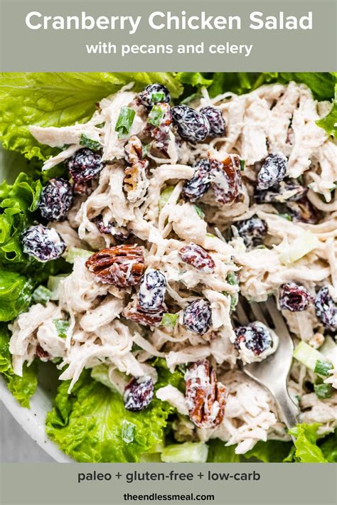 cranberry-chicken-salad-easy-healthy-the-endless image