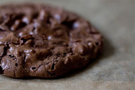 chocolate-puddle-cookies-recipe-101-cookbooks image