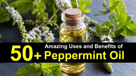 50-amazing-uses-benefits-of-peppermint-oil-tips image