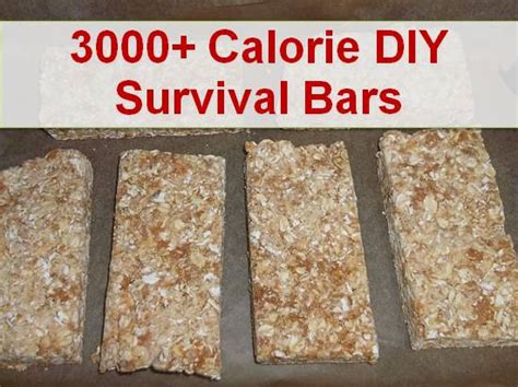 how-to-make-3000-calorie-diy-survival-food-ration image