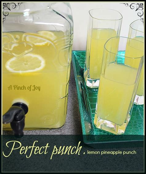 perfect-punch-lemon-pineapple-punch-a-pinch-of image