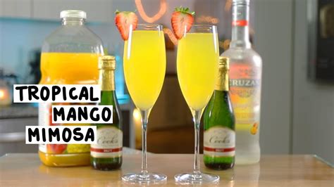 tropical-mango-mimosa-tipsy-bartender image