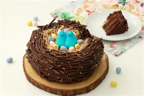 how-to-make-a-birds-nest-cake-everyday-celebrations image