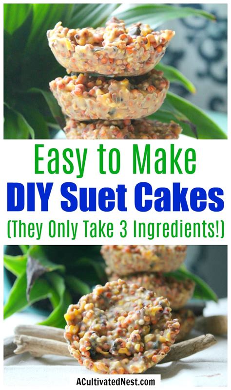 3-ingredient-diy-suet-cakes-a-cultivated-nest image