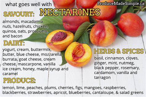 what-goes-well-with-nectarines-produce-made image