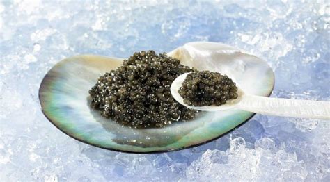 caviar-how-to-eat-and-serve-this-delicacy image