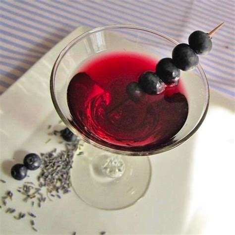 blueberry-shrub-syrup-for-craft-cocktails-farm-to-jar-food image