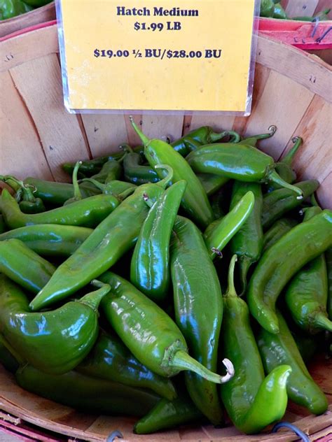 hatch-green-chile-recipes-cooking-on-the-ranch image