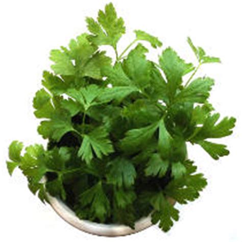 substituting-dried-parsley-flakes-for-fresh-parsley-in image