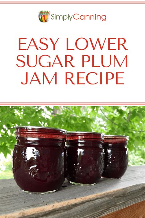 plum-jam-recipe-how-to-make-this-easy-low-sugar image