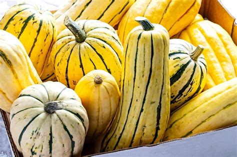 these-delicata-squash-recipes-will-expand-your-fall image