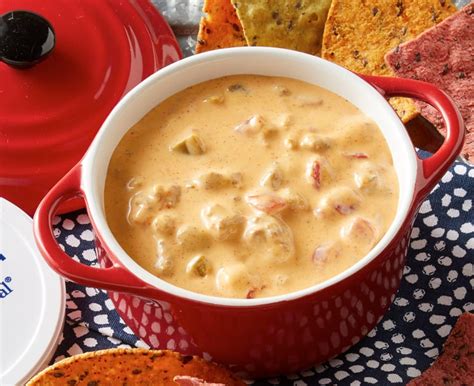 taco-queso-dip-recipe-with-sour-cream-daisy-brand image