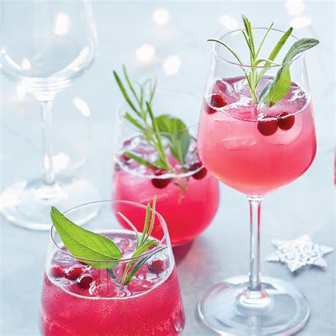 cranberry-holiday-punch-ricardo image