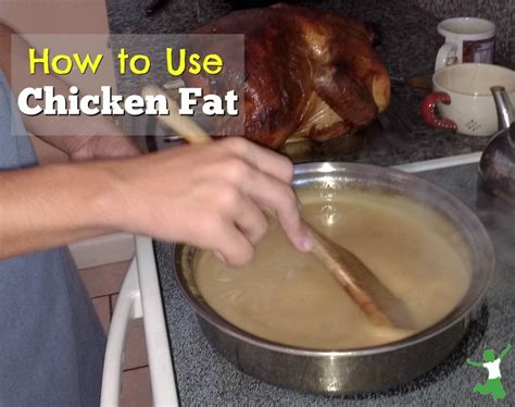 how-to-healthfully-use-chicken-fat-for-cooking image