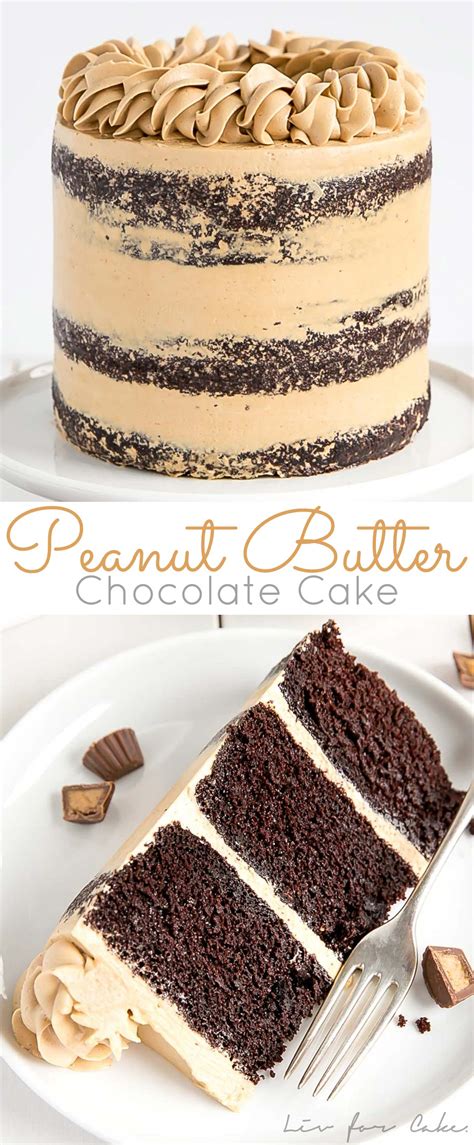 peanut-butter-chocolate-cake-liv-for-cake image