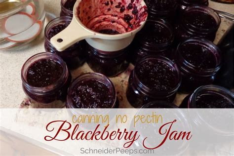 an-easy-dewberry-jam-recipe-for-canning-or-freezing image