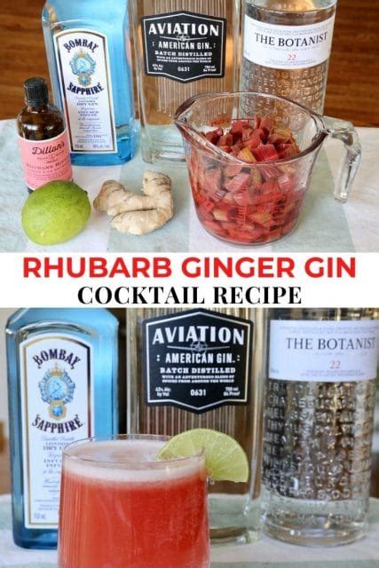 rhubarb-and-ginger-gin-cocktail-drink image