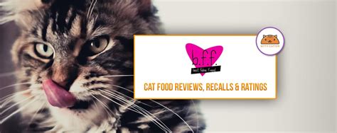 bff-cat-kitten-food-coupons-review-recalls-2022 image